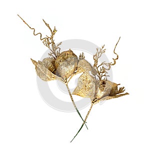 Traditional golden decorative branch isolated on white background