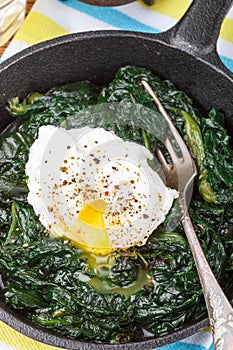 Traditional Gourmet Breakfast. Spinach, Kale and poached egg wit