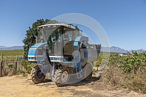 Traditional grape mechanical harvesting machine on a Swartland wine farm
