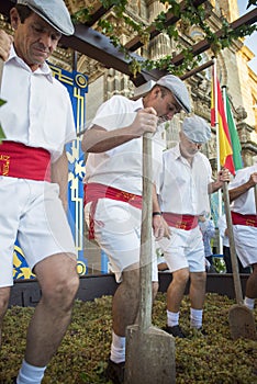 Traditional grape stomp in Sherry