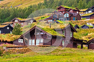 Traditional grass roof village houses summertime view Norway