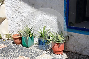 Traditional Greece landscape