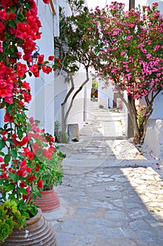 Traditional greek backstreet in Cyclades Islands, photo