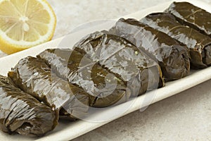 Traditional greek dolmades