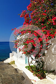 Traditional greek door on Sifnos island