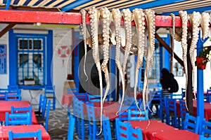 Traditional greek food Octopus drying in the sun