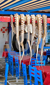 Traditional greek food Octopus drying in the sun