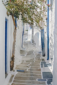 Traditional Greek laneway in Ios, Greece. photo