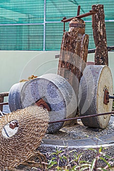 Traditional Greek olive oil press tool use in Crete island, Greece