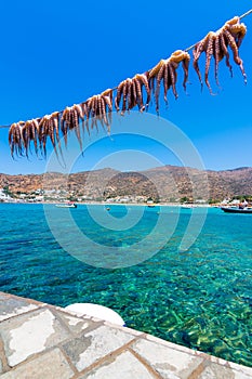 Traditional greek sea food, octopus, drying in the sun, Milopotas, Ios island, Cyclades, Greece