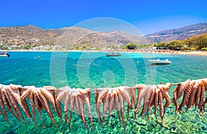 Traditional greek sea food, octopus, drying in the sun, Milopotas, Ios island, Cyclades, Greece