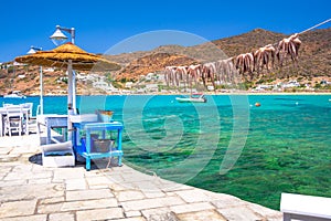 Traditional greek sea food, octopus, drying in the sun, Milopotas, Ios island, Cyclades. photo