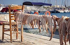 Traditional greek sea food, octopus, drying in the sun, Naxos island, Cyclades.