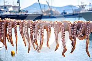 Traditional greek sea food, octopus, drying in the sun, Naxos island, Cyclades.