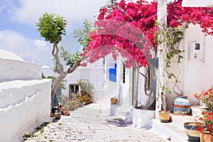 Traditional greek street with flowers in Amorgos island, Greece