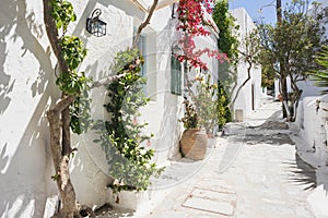 Traditional greek street with flowers, Greece. Greek vacations, travel destination, landmarks concept.