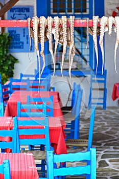 Traditional greek tavern food Octopus drying in the sun