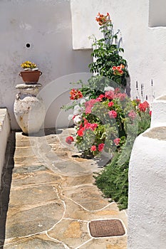 Traditional greek yard on Sifnos island