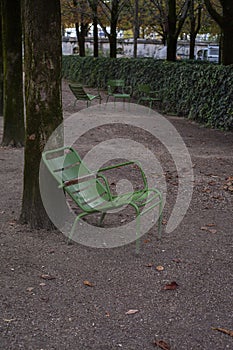 Traditional green chairs in the Tuileries garden. Paris