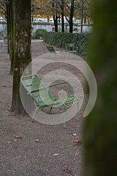 Traditional green chairs in the Tuileries garden. Paris