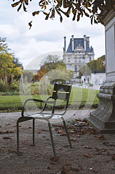Traditional green chairs in the Tuileries garden. Paris