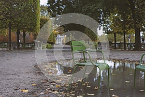 Traditional green chairs in the Tuileries garden. Paris