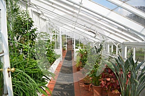 Traditional Greenhouse