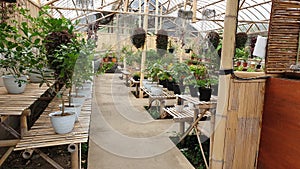 Traditional greenhouse made of bambbo