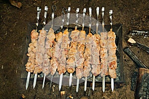 Traditional grilled meat