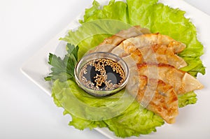 Traditional gyoza