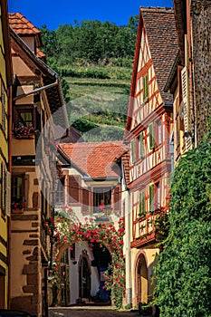 Traditional half timbered houses on the Alsatian Wine Route, Kaysersberg, France photo