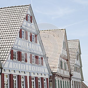 Traditional half-timbered houses