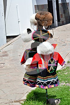 Traditional handicraft products exhibited in La Raya Pass- Peru 138