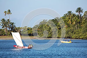 Traditional handmade sail boat in the amazon of Brazil.