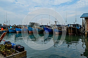 Traditional Harbour