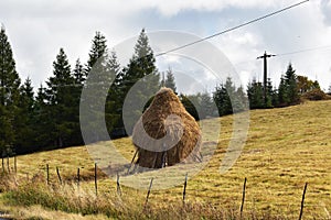 Traditional pile of hay in Romania.