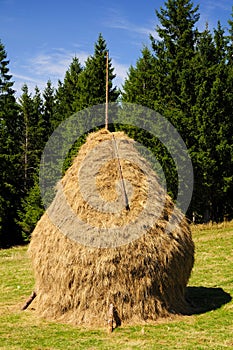 Traditional hay stack in romania