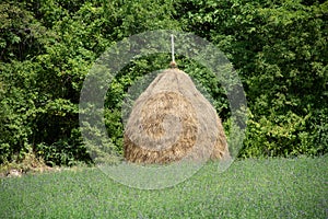 Traditional Haystack in a Green Meadow