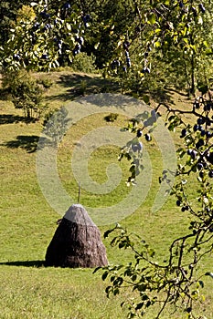 Traditional haystack rural scene