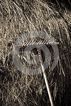 Traditional haystack rural scene