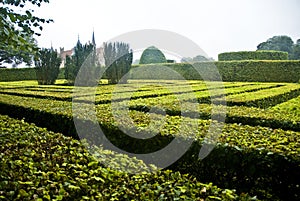 Traditional hedge maze in park