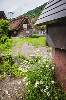 Traditional and Historical Japanese village Shirakawago in Gifu Prefecture Japan, Gokayama has been inscribed