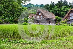 Traditional and Historical Japanese village Shirakawago in Gifu Prefecture Japan, Gokayama has been inscribed