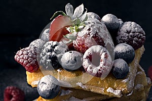 Traditional homemade Belgian waffles with fresh summer berries, blueberry raspberry, strawberry and blackberry dusted with icing