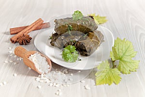 Traditional Homemade Stuffed Grape Leaves