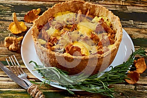 Traditional homemade swedish pie - chanterelle mushrooms and cheese quiche with fresh rosemary