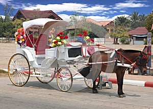 Traditional horse and carriage