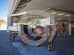 Traditional horse and carriage near Museu dos Coches in Lisbon