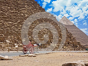 Traditional horse and carriage parked in front of the iconic Great Pyramids of Giza, Egypt