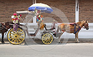 Traditional horse and carriaget